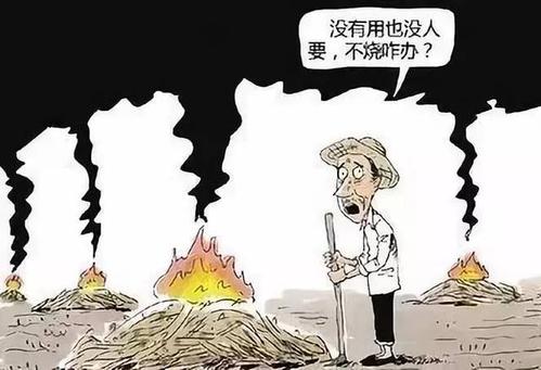 農民焚燒秸稈